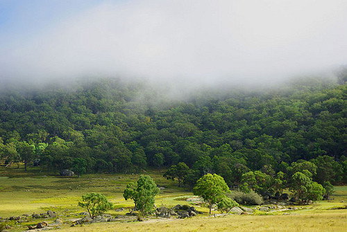 Stannum NSW Accommodation QLD