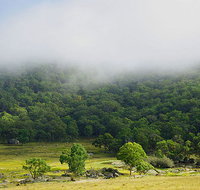 Tor Cottage at Anketell Forest - Accommodation QLD