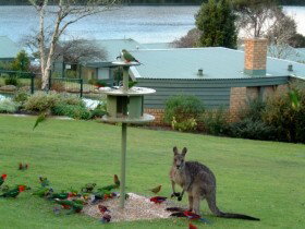 Gipsy Point Lakeside - Accommodation QLD 0