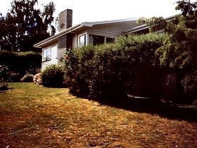 Arundel Cottage - Accommodation QLD 0