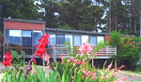 Lower Barrington TAS Accommodation QLD