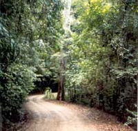 Mt Glorious Getaway Cottages And Conference Centre - Accommodation QLD