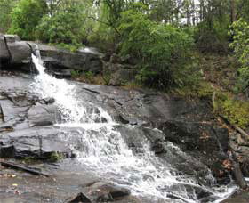Gully Falls House - Accommodation QLD 0