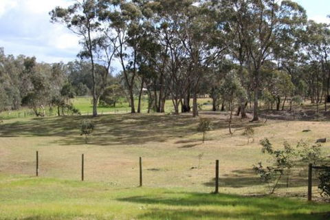 Donkey Tales Farm Cottages - Accommodation QLD 6