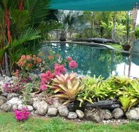 Daintree Wild Bed And Breakfast - Accommodation QLD