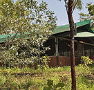 Arnhemland Barramundi Nature Lodge - Accommodation QLD