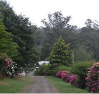 Mountain Rivers Lodge - Accommodation QLD