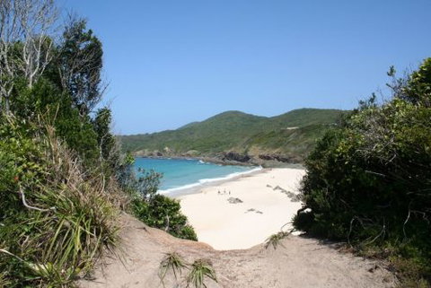 @ Forster - Accommodation QLD 1