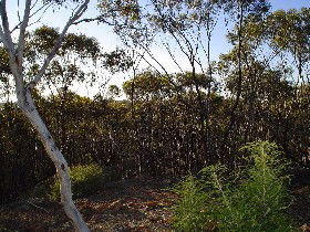 Malpas ACT Accommodation QLD