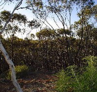 Lions Dryandra Woodlands Village - Accommodation QLD