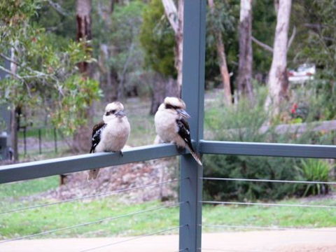 The Ripley Family Holiday Retreat - Accommodation QLD 9