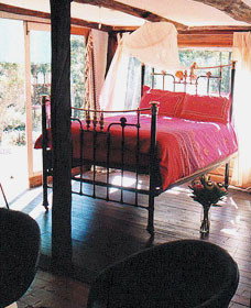 Lazy Curl - Accommodation QLD 0