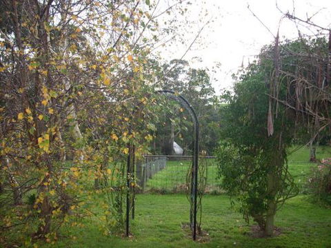 Whitelaw's Rest - Accommodation QLD 1
