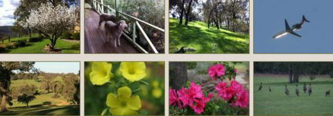 Moondyne Country Convention Centre - Accommodation QLD 2