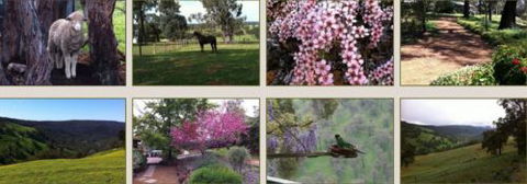 Moondyne Country Convention Centre - Accommodation QLD 3