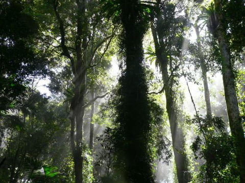 Alcheringa Holiday House - Accommodation QLD 6