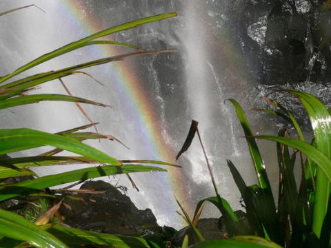 Alcheringa Holiday House - Accommodation QLD 7