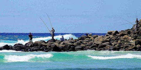 Orchid Sands Fraser Island Accommodation - Accommodation QLD 2