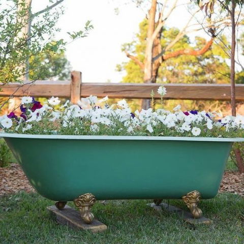 Milton Country Retreat - Accommodation QLD 4