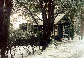 Waldheim Cabins - Accommodation QLD 0