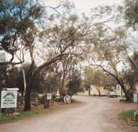 Beautiful Valley Caravan Park Cabins - Accommodation QLD