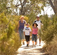 Pepper Tree Cottage - Accommodation QLD