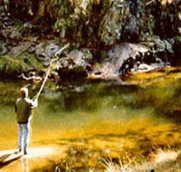 Markdale Homestead - Accommodation QLD