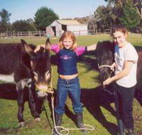 Grampians Sunrise Holiday Villas - Accommodation QLD