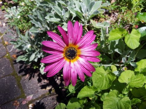 Tawonga South VIC Accommodation QLD