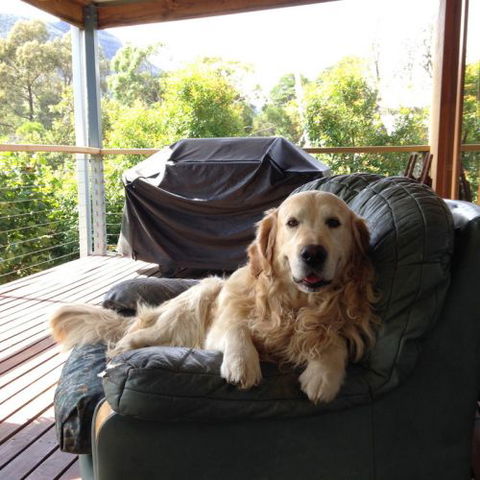 Ant's Halls Gap Holiday House - Accommodation QLD 7