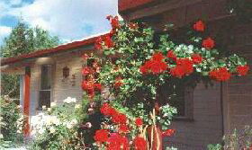 Epping Forest TAS Accommodation QLD
