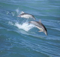 Seachange - Accommodation QLD