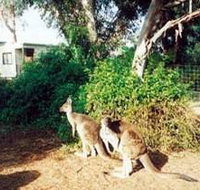 Avoca Dell Caravan Park - Accommodation QLD