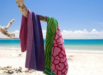 Sofitel Noosa Pacific Resort - Accommodation QLD 38