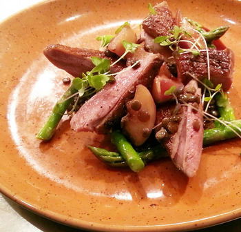 Estate Tuscany - Accommodation QLD 9