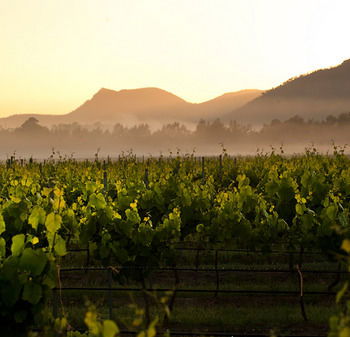 Estate Tuscany - Accommodation QLD 21