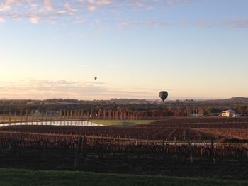 Estate Tuscany - Accommodation QLD 26