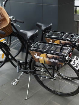 Art Series-The Blackman - Accommodation QLD 5