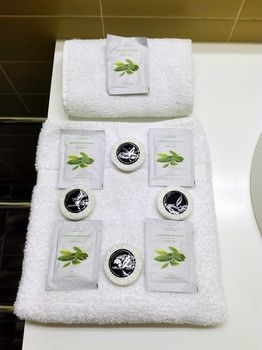 Glen Inn - Accommodation QLD 12