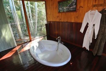 Kondalilla Eco Resort - Accommodation QLD 21