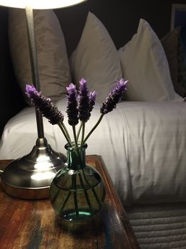 Lilies Luxury Retreats - Accommodation QLD 51