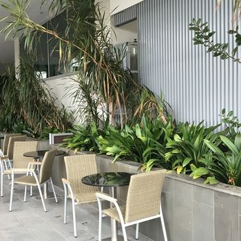 Best Western Premier Hotel 115 Kew - Accommodation QLD 22