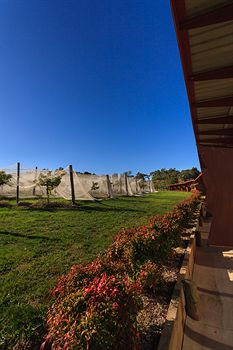 De'Vine Escape - Accommodation QLD 5