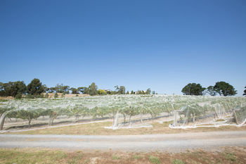 De'Vine Escape - Accommodation QLD 12