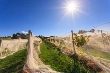 De'Vine Escape - Accommodation QLD 14