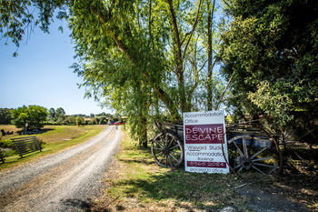 De'Vine Escape - Accommodation QLD 22