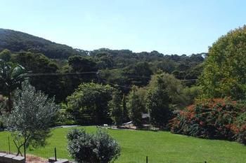 Terrigal Hinterland Bed And Breakfast - Accommodation QLD 14
