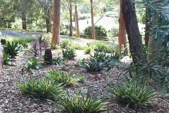 Terrigal Hinterland Bed And Breakfast - Accommodation QLD 20