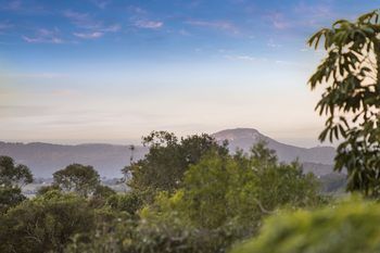 Eden Lodge - Accommodation QLD 30