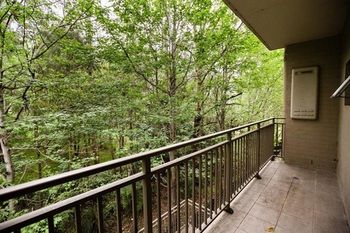 Bluegum Apartments - Accommodation QLD 4